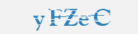 보안문자